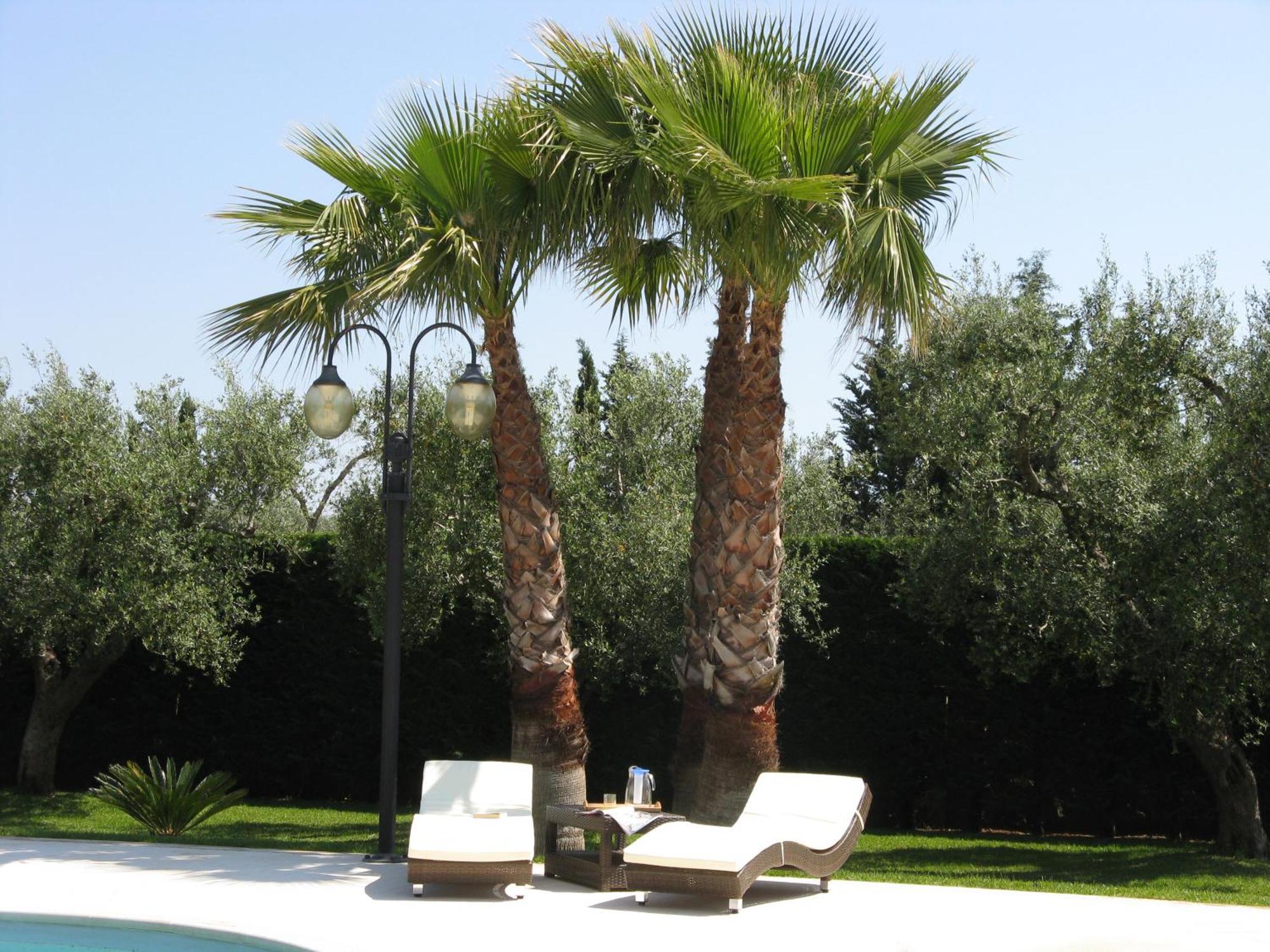 B&B Villa Vittoria Maglie Exteriér fotografie